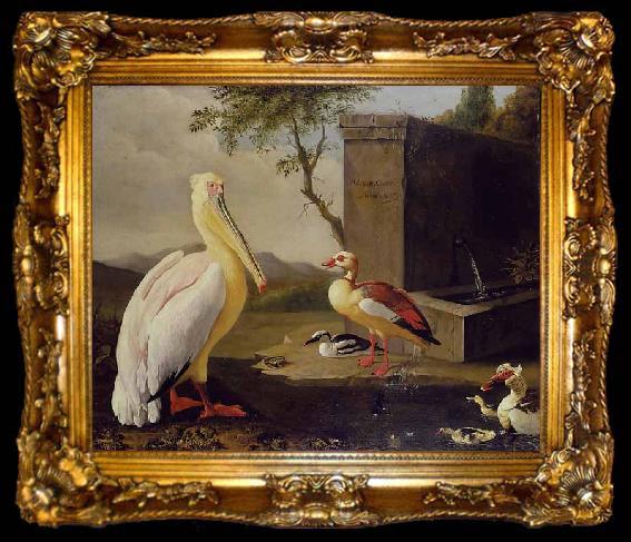 framed  Adriaen Coorte Pelican and ducks in a mountain landscape or Oriental Birds, ta009-2